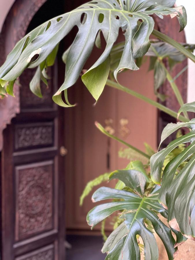 Riad Chocolat Marrakesh Bagian luar foto